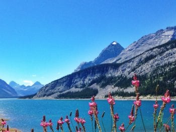 Spray Lakes Campground - Alberta