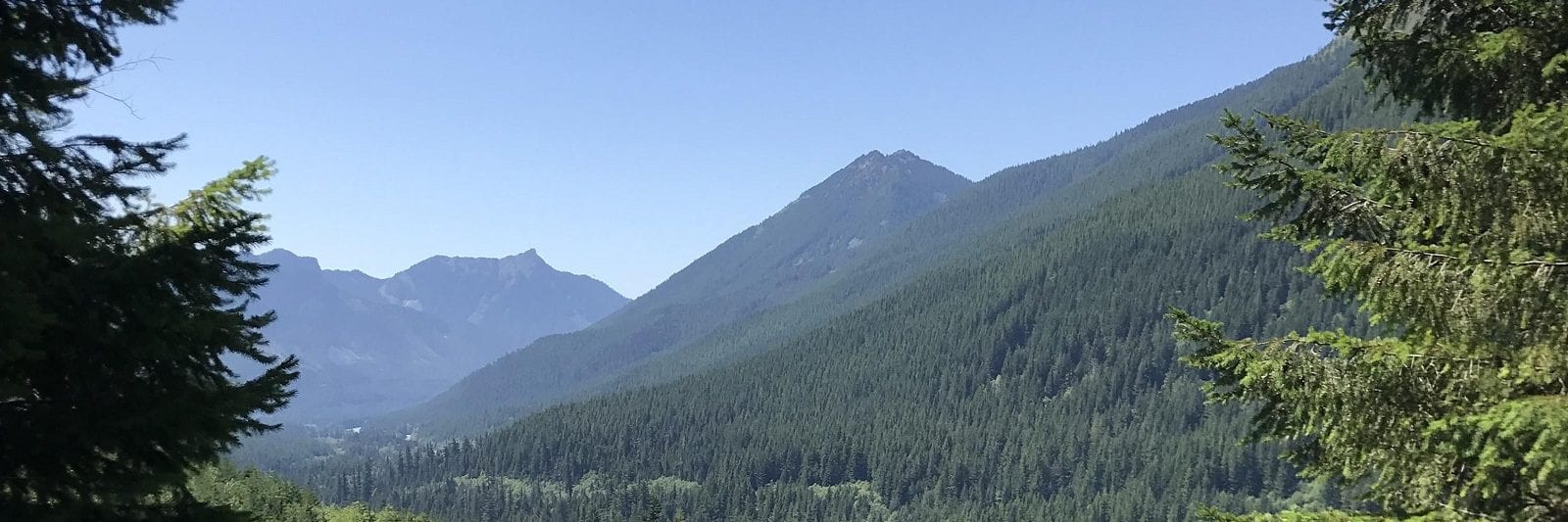 Tunnel Mountain Camping