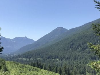 Tunnel Mountain Camping