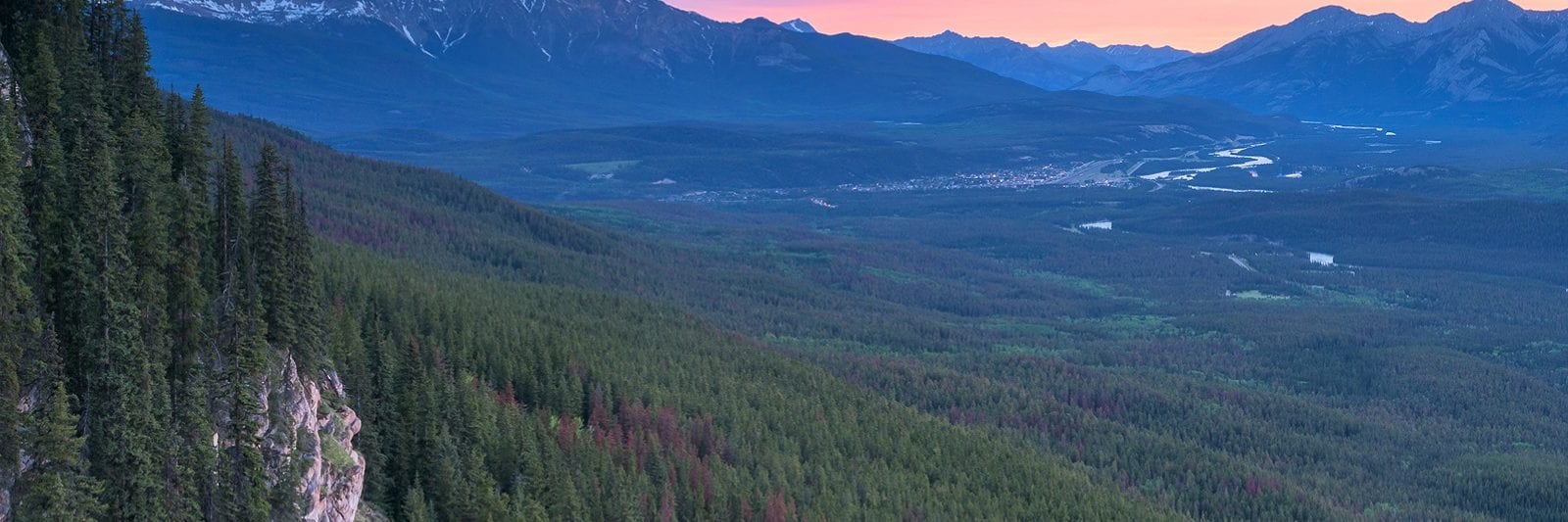 Wabasso - Jasper National Park