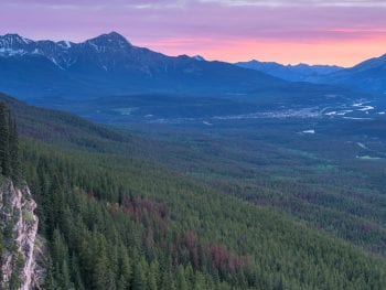 Wabasso - Jasper National Park