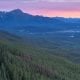 Wabasso - Jasper National Park