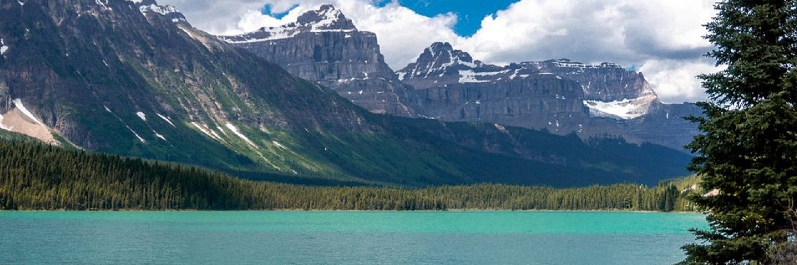 Waterfowl Lakes Campground