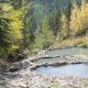 Ram Creek Hot Springs Pool Canada