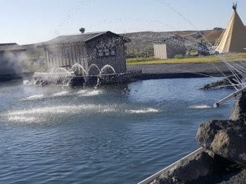 Crystal Crane Hot Springs Oregon