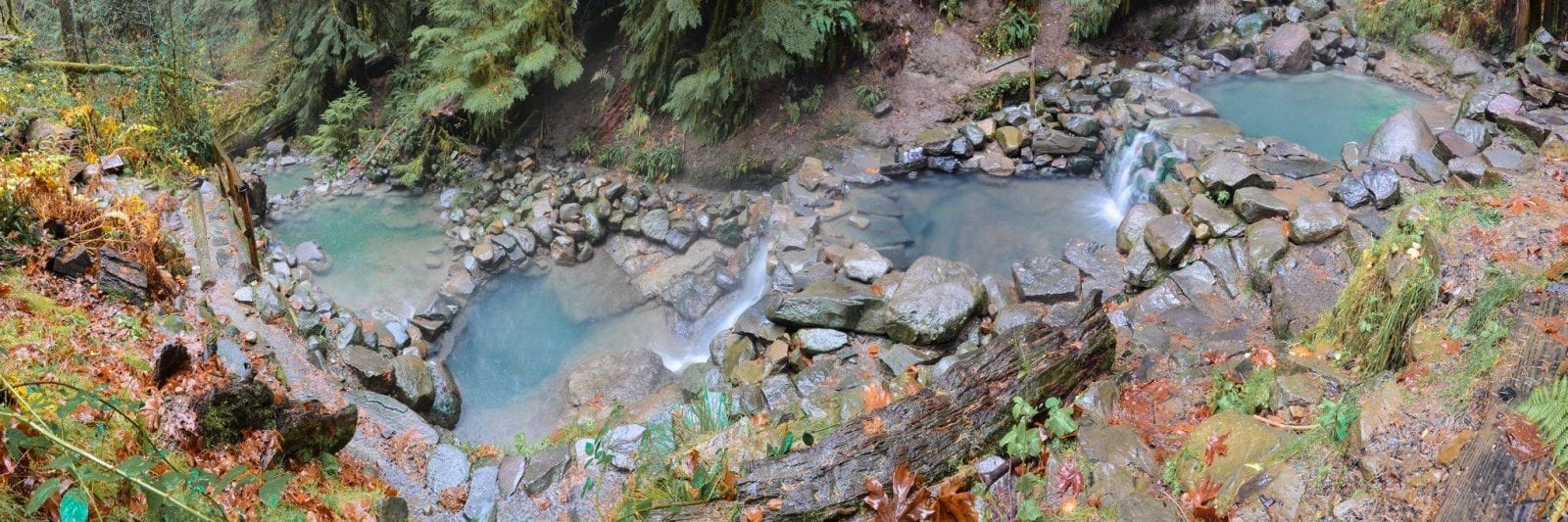 Cougar (Terwilliger) Hot Springs Pools