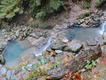 Cougar (Terwilliger) Hot Springs Pools