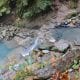 Cougar (Terwilliger) Hot Springs Pools