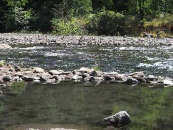 McCredie Hot Springs
