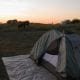 Elk on Beach Campground in Del Norte, California