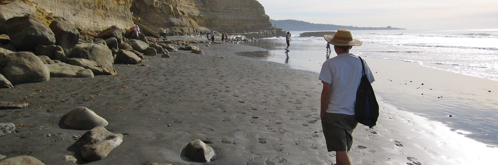 Torrey Pines State Beach, California