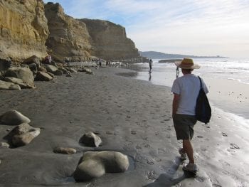 Torrey Pines State Beach, California