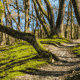 Hiking in Chicago