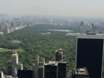 Hiking in New York City