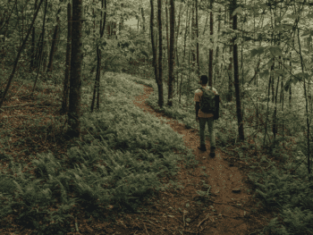hiking in st louis