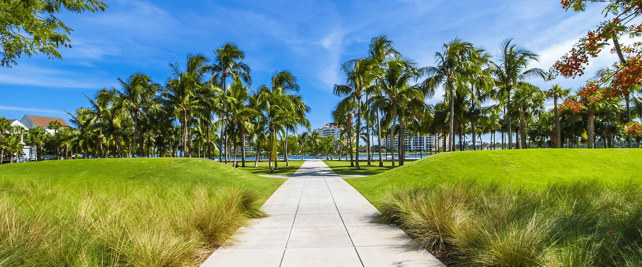 Hiking in Miami