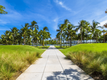 Hiking in Miami