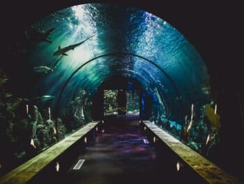 Aquarium in Kentucky
