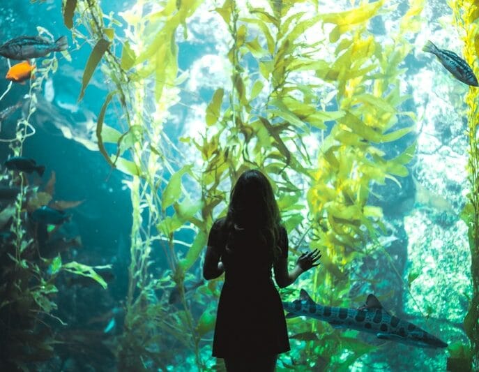 Aquariums in Indiana