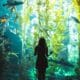 Aquariums in Indiana