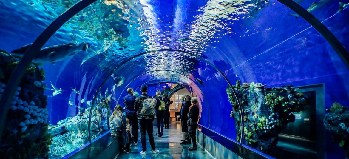 Aquariums in Maryland