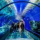 Aquariums in Maryland