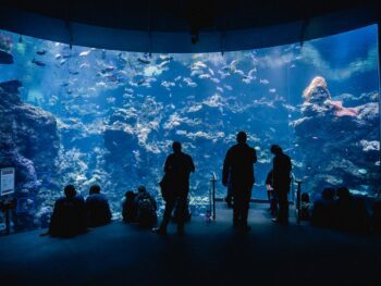 Aquariums in Mississippi