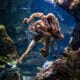 Aquariums in Nebraska