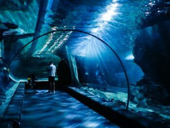 Aquariums in Nevada