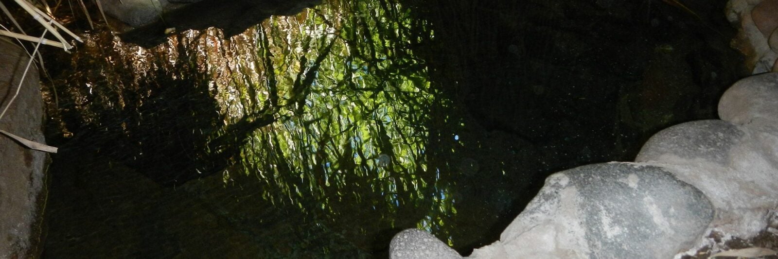 Sheep Bridge Hot Springs in Arizona