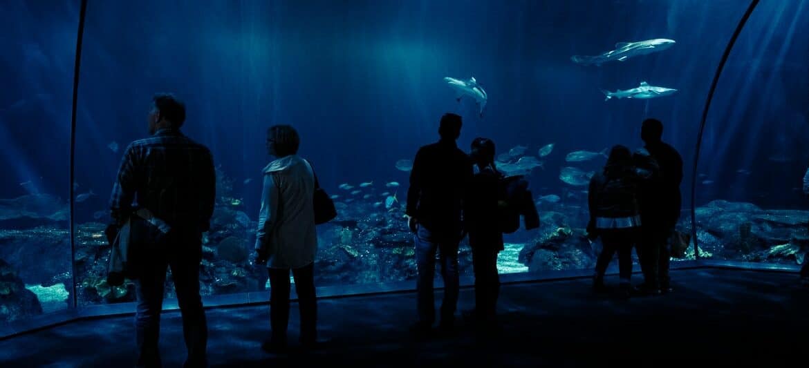 Aquariums in Oklahoma