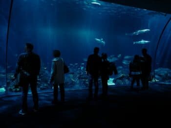 Aquariums in Oklahoma