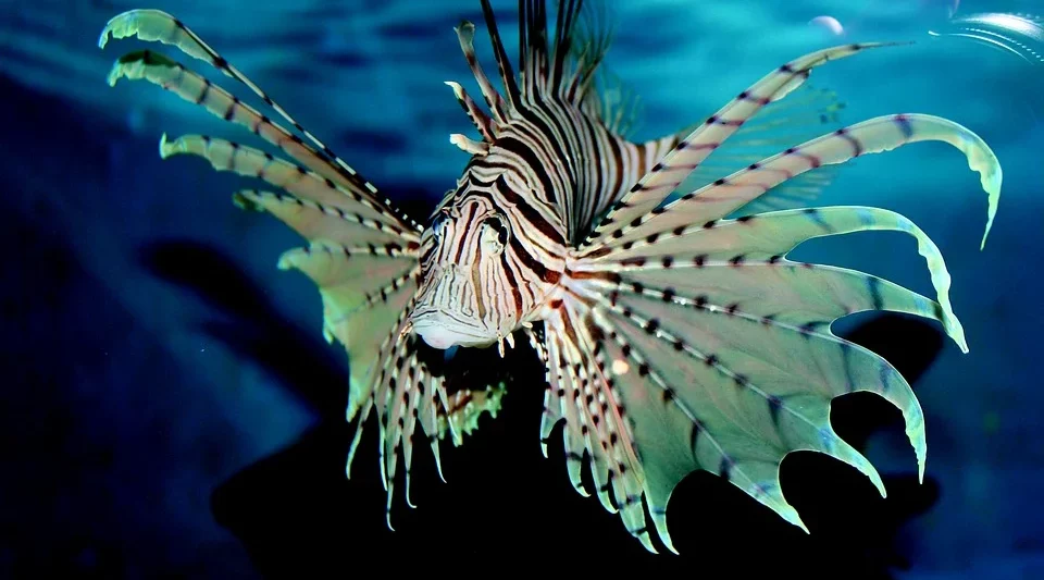 Aquariums in Oregon