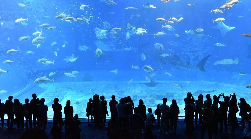 Aquariums in Pennsylvania