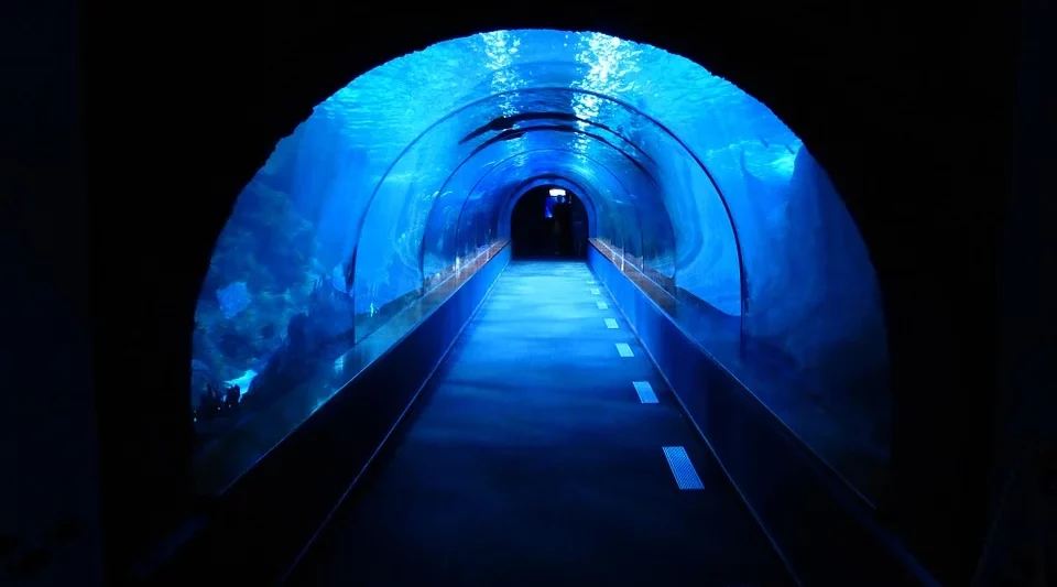 Aquariums in Utah