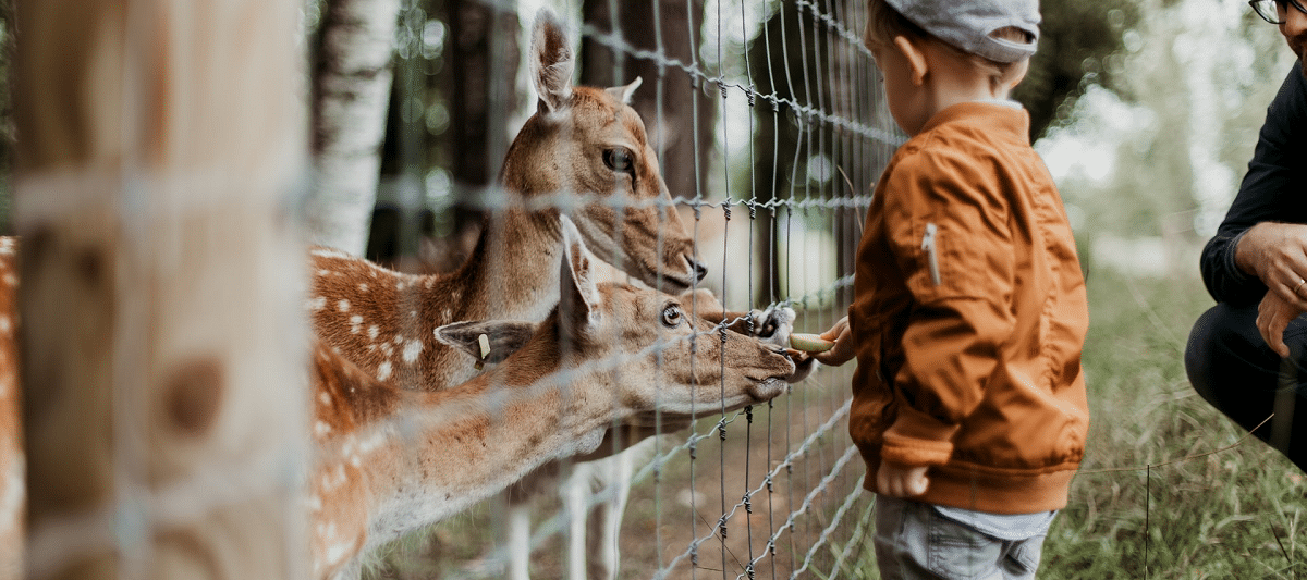 Zoos in Connecticut