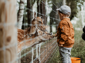 Zoos in Connecticut