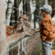 Zoos in Connecticut