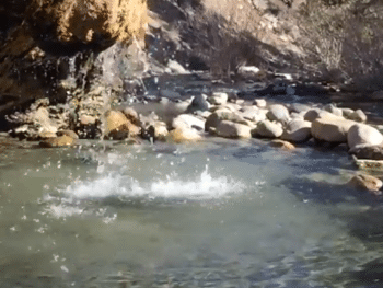 Buckeye ​Hot Springs