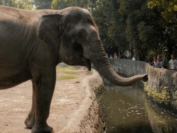 Minnesota Zoos