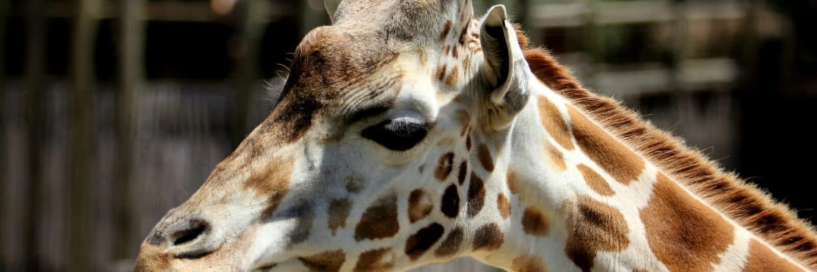 Nebraska Zoos