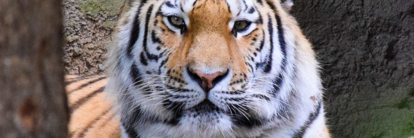 Zoos Kansas