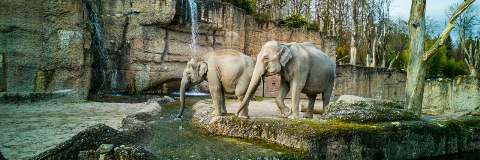Zoos in Florida