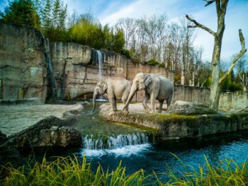 Zoos in Florida