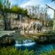 Zoos in Florida
