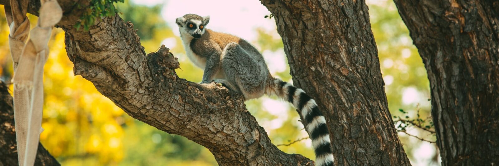 Zoos in Hawaii