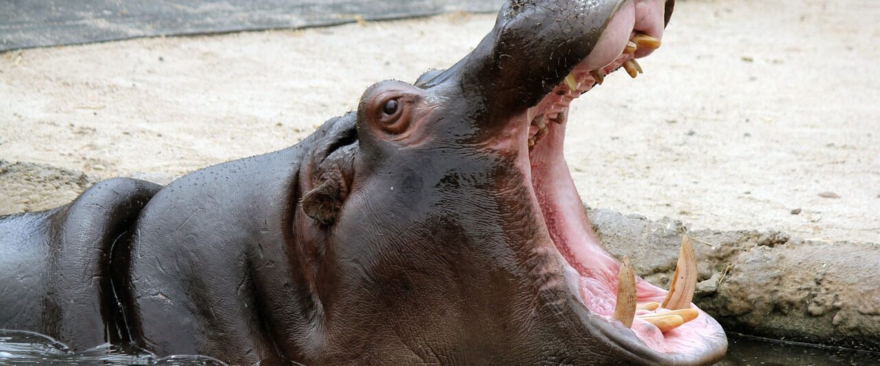 Zoos in Iowa