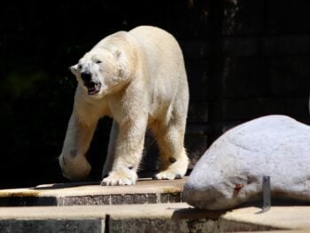 Zoos in Missouri