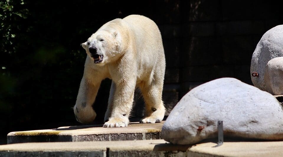 Zoos in Missouri