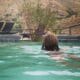Astoria Hot Springs